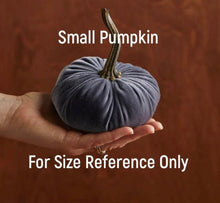 Load image into Gallery viewer, Small Velvet Pumpkins
