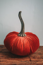 Load image into Gallery viewer, Large Velvet Pumpkins
